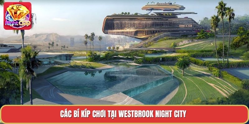 Các bí kíp chơi tại westbrook night city