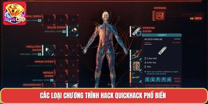 Các loại chương trình hack quickhack phổ biến Các loại chương trình hack quickhack phổ biến