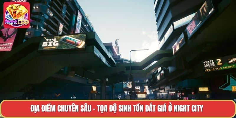 Địa Điểm Chuyên Sâu - Tọa Độ Sinh Tồn Đắt Giá Ở Night City